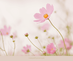 Listening to your body — self-care awareness practice”