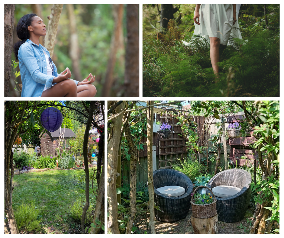 Forest bathing plan makeselfcaresimple
