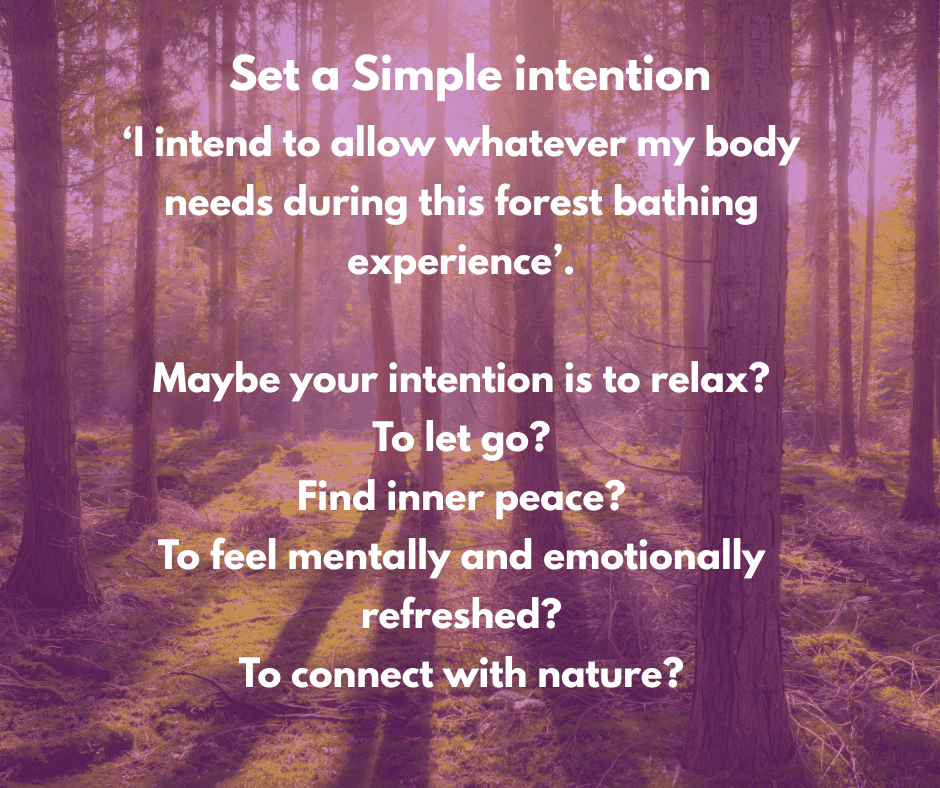 Set an intention forest bathing plan