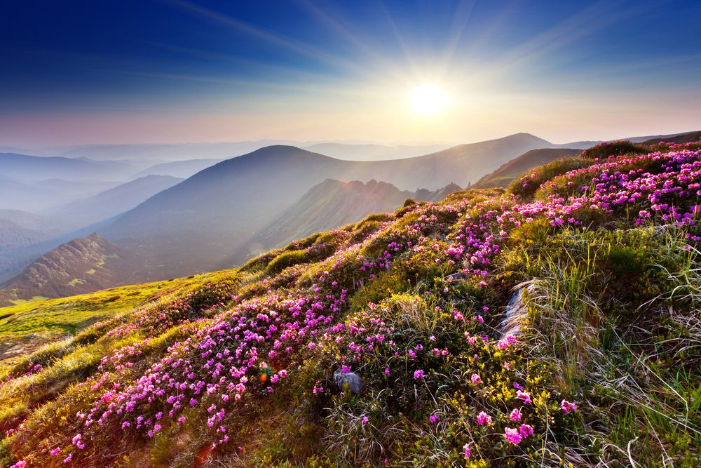 Pathway to understand yourself