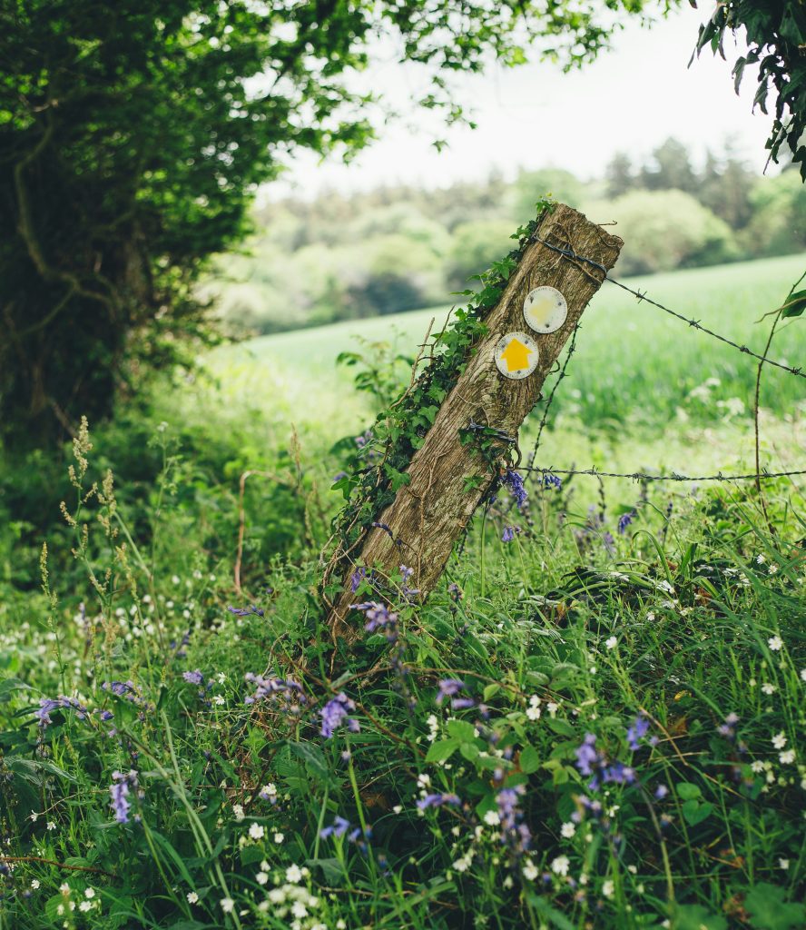 gentle self-care challenge benefits
